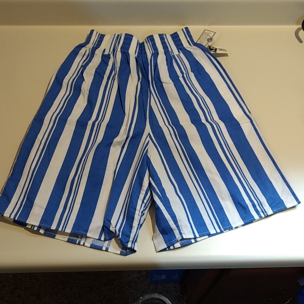 Vintage Blue & White Stripe Shorts
